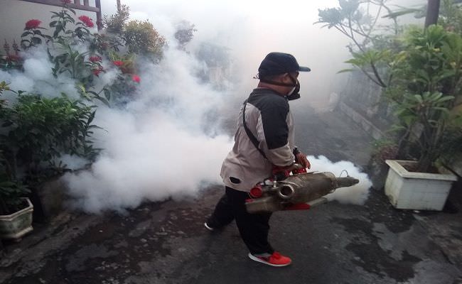 fokus-tangani-corona-kasus-db-di-bali-naik-hingga-100-persen-lebih