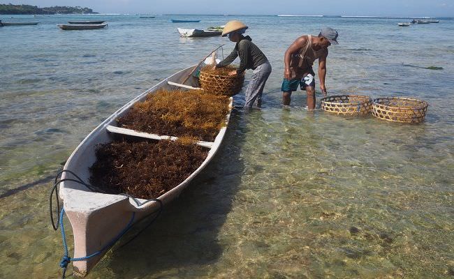masa-depan-pariwisata-bali-nusa-penida-menuju-pulau-ekologis