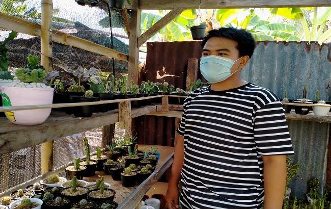 bermula-dari-hobi-tanaman-kaktus-jualan-meroket-di-tengah-pandemi