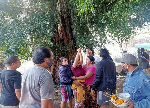 pohon-beringin-dan-pelinggih-terbakar-pemedek-mendadak-kerauhan