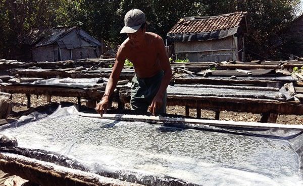 buka-lapangan-kerja-baru-garam-kusumba-dongkrak-ekonomi-warga