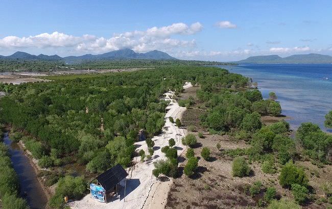 klhk-bawa-program-padat-karya-ke-buleleng-fokus-hutan-mangrove