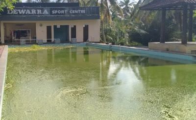 kolam-renang-pun-disulap-menjadi-media-budidaya-ikan