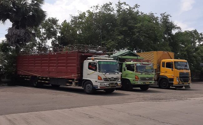 pertama-kali-di-bali-over-dimensi-tiga-sopir-truk-dipidana-1-tahun