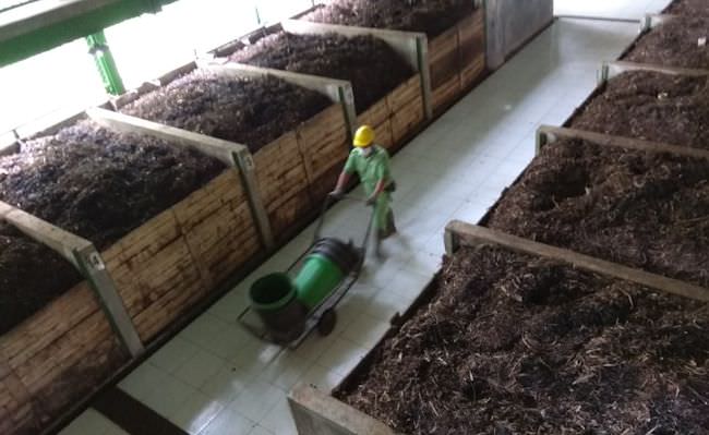 tegas-sampah-tak-akan-diangkut-bila-belum-dipilah