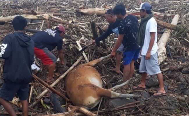 banjir-di-pekutatan-akibatkan-rumah-hancur-ternak-hanyut-jalan-putus
