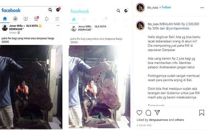 jual-online-paha-rw-rp-50-ribu-reaksi-pencinta-anjing-di-bali-tegas