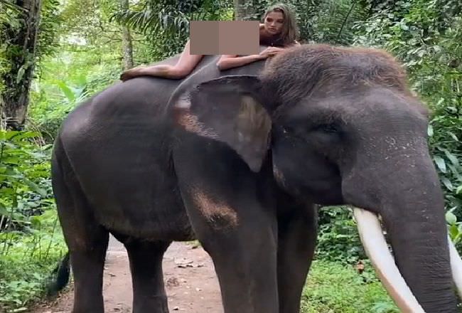 pose-bugil-di-atas-gajah-model-cantik-asal-rusia-diperiksa-polda-bali