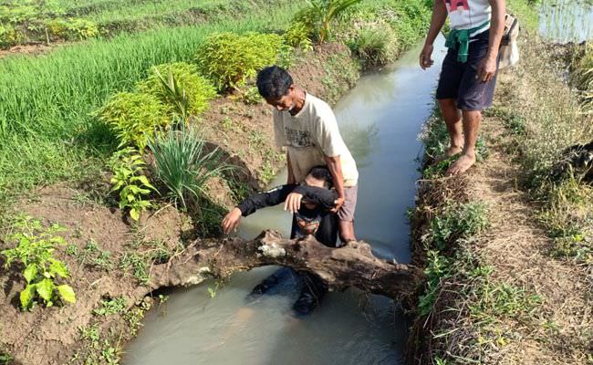 warga-megati-tabanan-digemparkan-seorang-pria-coba-bunuh-diri-di-subak