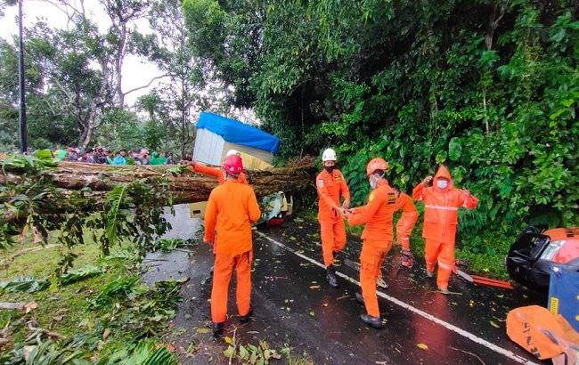 omg-tertindih-pohon-gempong-raksasa-kernet-truk-sembako-tewas