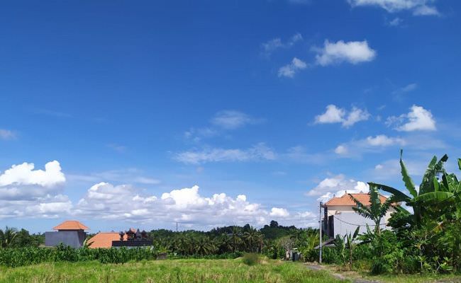 5-tahun-920-ha-lahan-pertanian-di-gianyar-jadi-permukiman-dan-vila