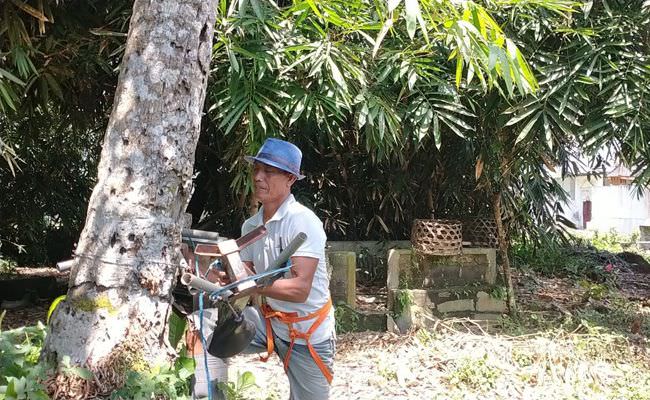 alat-panjat-kelapa-juga-diorder-pihak-vila-dan-restoran