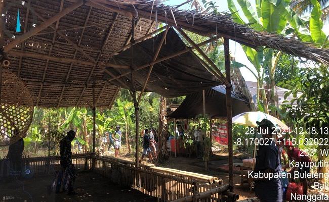 kasus-melonjak-judi-tajen-di-buleleng-masih-tetap-digelar-saat-ppkm