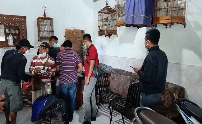 satroni-showroom-mokas-pencuri-bawa-kabur-lima-ekor-burung