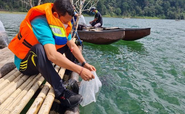 dikuasai-ikan-zebra-ekosistem-danau-buyan-dan-tamblingan-rusak