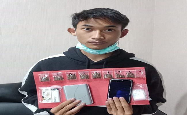 konyol-beli-tembakau-gorila-pemuda-asal-jimbaran-dibekuk