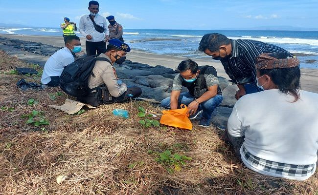 delapan-potongan-tulang-ditemukan-berserakan-di-pantai-seseh-gianyar
