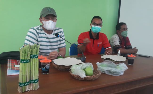 alpukat-hass-tembus-rp150-ribu-per-kg-badung-bidik-pasar-jakarta