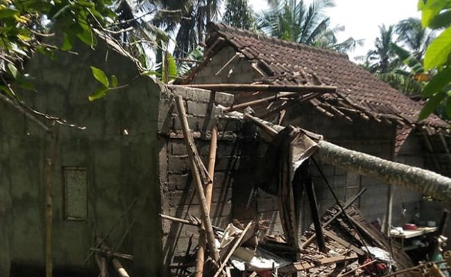 ayah-ibu-di-sawah-dua-anak-disabilitas-nyaris-tertimpa-pohon-kelapa