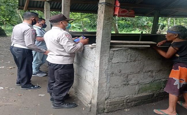 hujan-lebat-lima-ekor-anak-babi-milik-warga-karangasem-diduga-hilang