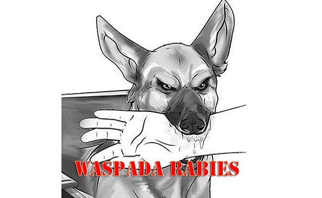 GEJALA RABIES: Ilustrasi, anjing menggigit.  (dok radarbali)