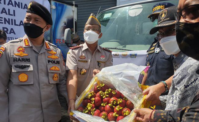bali-berhasil-ekspor-buah-manggis-dan-kulit-ular