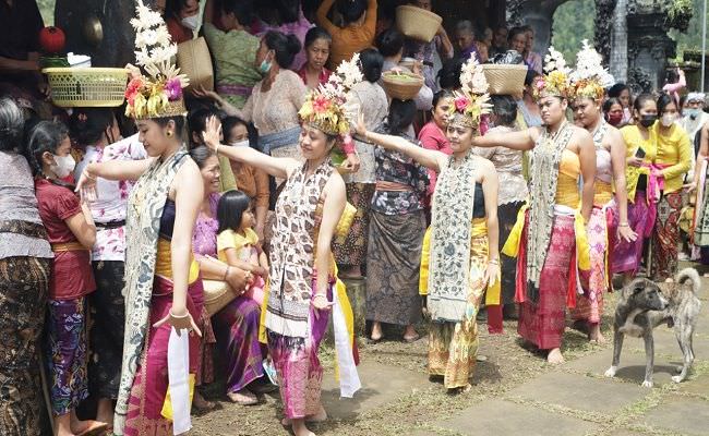 wujud-pemuliaan-benih-padi-ritual-dihelat-setiap-lima-tahun-sekali