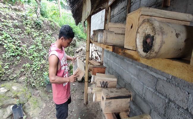 budidaya-lebah-trigona-secara-otodidak-awalnya-tak-tahu-nama-latin