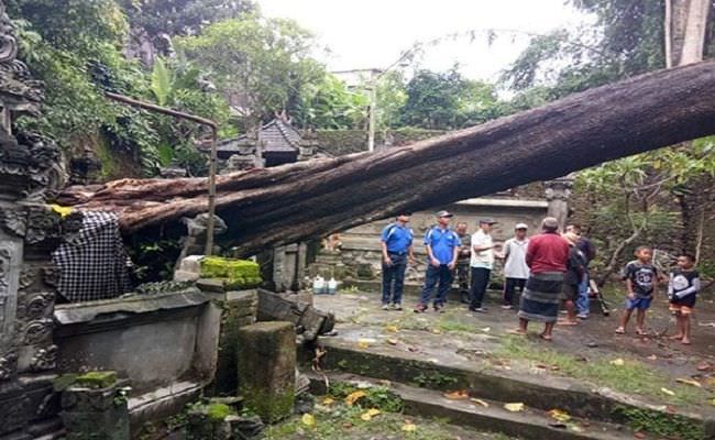 bencana-alam-didominasi-pohon-tumbang-dan-longsor