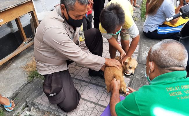 lima-anjing-positif-rabies-ternyata-hewan-peliharaan-warga