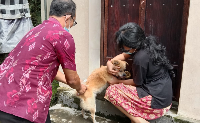Vaksinasi anjing digelar di seluruh kecamatan di Kabupaten Gianyar, Bali. (IST)
