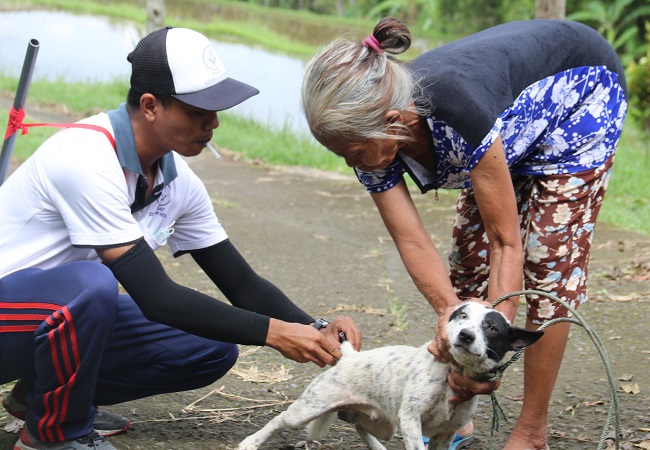 Vaksinasi anjing di Desa Umajero. (Eka Prasetya)