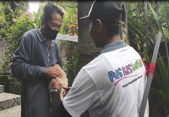 Vaksinasi pada anjing di Desa Umajero. (Eka Prasetya)