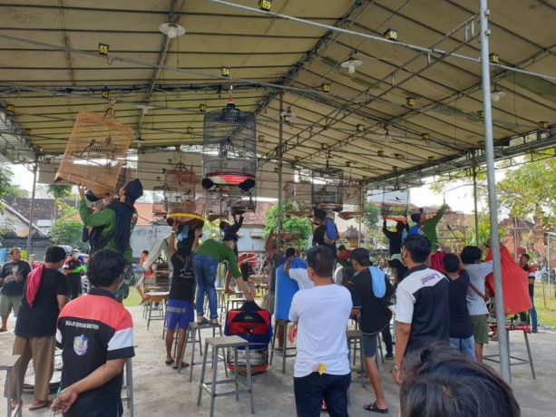ANTUSIAS: Suasana lomba gantangan (burung berkicau) GM FKPPI di Gantangan Puri Agung Gelogor, Tegal, Denpasar, Minggu (7/8/2022). (ist)