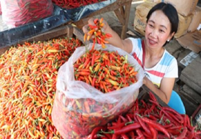 Pedagang cabai yang ditemui di pasar tradisional. (dok jawapos.com)