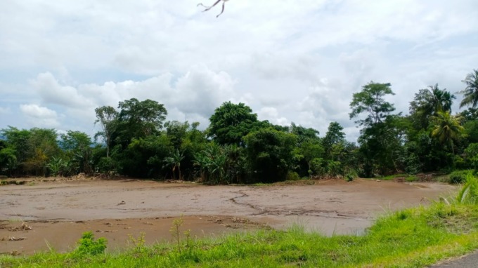 TERDAMPAK BANJIR : Salah satu lahan sawah yang terancam puso di Lingkungan Pemedilan, Kelurahan Dauhwaru, Kecamatan Jembrana (foto: m.basir/radar bali).