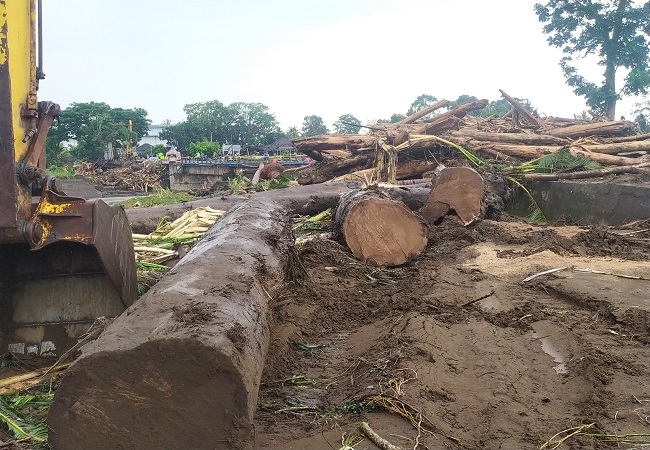 Batang kayu berukuran besar yang terbawa banjir bandang di aliran sungai Bilukpoh, Kecamatan Mendoyo. (FOTO M. BASIR / RADAR BALI)