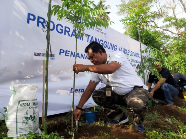 POHON: Penananam pohon lerek di Desa Panji Buleleng.