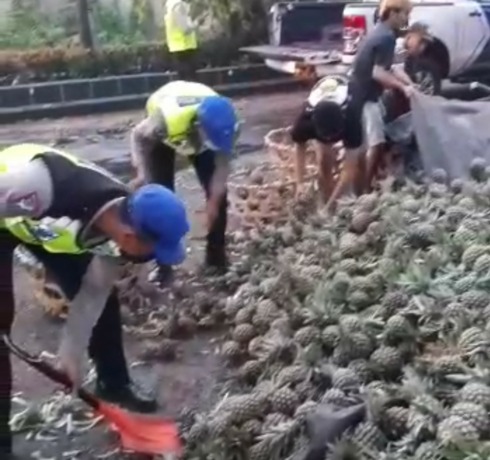 TUMPAH: Nanas penuhi jalan raya akibat truk yang memuatnya terbalik di jalur Denpasar - Gilimanuk Rabu (5/10/2022)