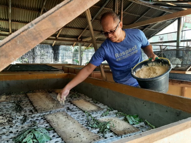 BOS JANGKRIK :  Made Sari Arta, seorang anggota Polri yang sudah dua tahun terakhir ini menekuni budidaya jangkrik di Banjar Lepang, Desa Takmung, Kecamatan Banjarangkan, Selasa (1/11). (dewa ayu pitri arisanti/radar bali)
