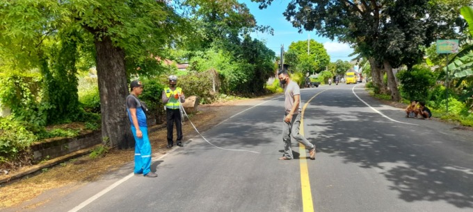 CEK LOKASI KEJADIAN : Polisi melakukan olah tempat kejadian perkara (olah TKP) Desa Umeanyar, Kecamatan Seririt, seusai kecelakaan. (foto:istimewa)