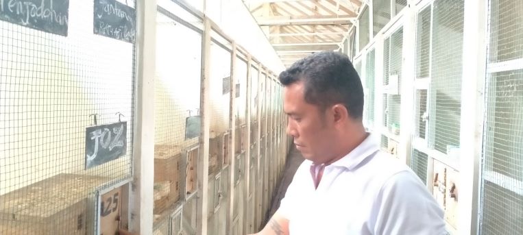 TEKUN: I Ketut Gede Jiwa Artana dengan jalak bali di penangkaran miliknya.