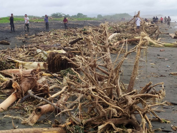 TAK TERTANGANI: Sampah kayu di pantai Delodberawah dua hari setelah banjir bandang sungai Bilukpoh. Dan foto kodisi pantai setelah dua Minggu banjir bandang
