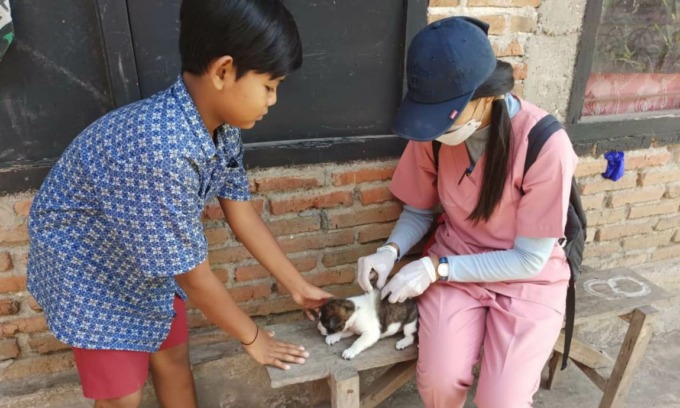 SUNTIK ANAKAN ANJING: Vaksinasi anjing di Desa Busungbiu, Buleleng, beberapa waktu lalu.(foto:dok.radar bali)
