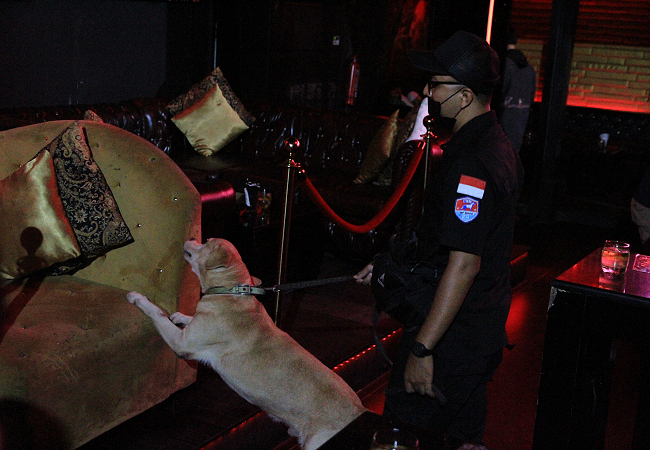 Petugas BNN saat menggelar razia di tempat hiburan malam kawasan Badung. (Foto Adrian Suwanto/Radar Bali)
