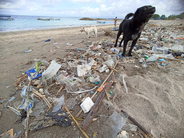 CITRA BURUK: Sampah  kiriman berserakan di sepanjang Pantai Jerman Badung. Foto: Adrian Suwanto/Radar Bali