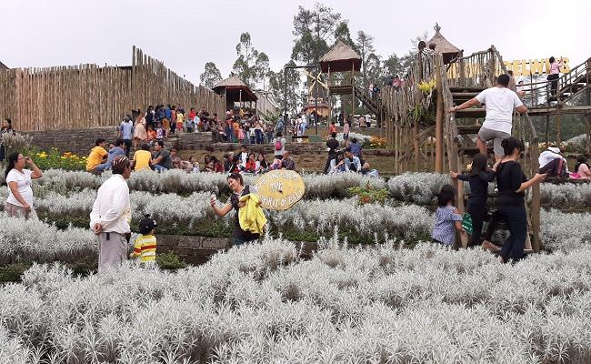SALAH SATU ANDALAN : Taman Edelweis, di Karangasem, ini banyak disukai untuk berswafoto. (foto:dok. radar bali)