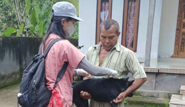 DIVAKSIN : Hewan peliharaan warga di Buleleng kini mulai digencarkan vaksinasi. (foto eka prasetya/radar bali)