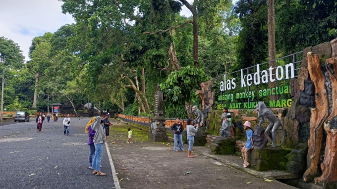 SEPI: Daerah Tujuan Wisata Alas Kedaton di Tabanan masih sepi kunjungan meski sedang libur Galungan.