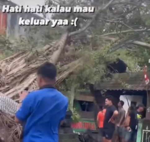 DAMPAK ANGIN: Pohon beringin besar di jalan raya Kuta tumbang menimpa rumah warga dan kios akibat disapu dan dicerabut angin kencang.